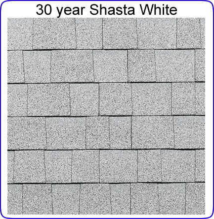 30 Year Shasta White